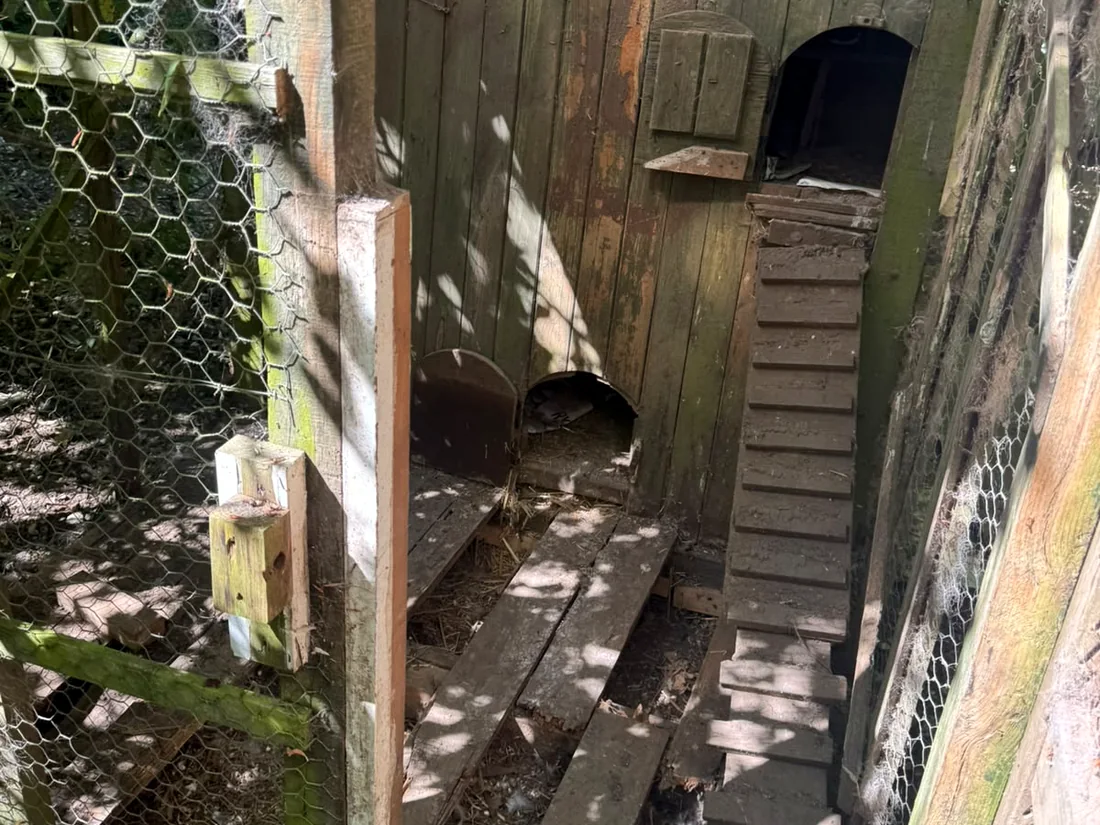 Damaged outdoor enclosure floor before repair
